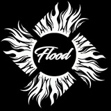 FLOOD -DeepFakes-