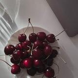 ᴛʜᴇ sᴍᴇʟʟ ᴏꜰ ᴄʜᴇʀʀɪᴇs || ᴄʜᴀɴɴᴀʟ 🍒