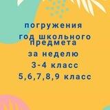 Погружение в предмет Сходня 📚