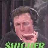 $HIGHER PORTAL