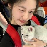 中兴租Q不测试（双赢上压4000u）双赢租Q榜第一