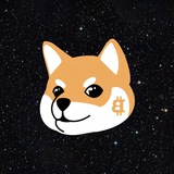 Bitcoin Inu Portal