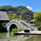 素材精选🌐