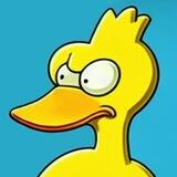 DUCKS🐤🐤