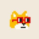 Shiba Nouns
