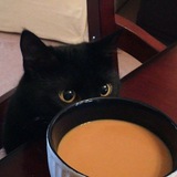 LPM COFFEE