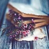🦋🌺🕯محفل شاعرانه🕯🌺🦋