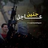 جنين عاجل