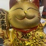 飞机 引流 拉人 私发 开会员
