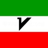 فیلتر شکن سرور V2rayng