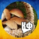 Грибарі Калуського району