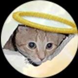Ceiling Cat Token - Official Group