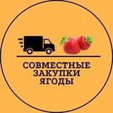 Совместные закупки ягоды