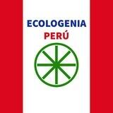 ECOLOGENIA PERÚ SISTEMA ASAMBLEARIO 𖥞 🇵🇪🍀