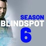 BLINDSPOT 🇫🇷 VF FR SAISON INTEGRALE 1 2 3 4 5 6
