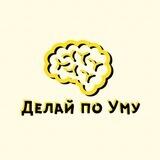 Делай по уму