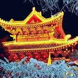 腾龙推码260-350