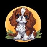 Cavalier King | Next Doge, Shiba