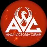 A.V.C. Group