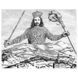 نیلوفر نادری