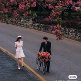Korean Movies