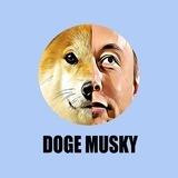 Doge Musky Portal (BSC Smart Chain)