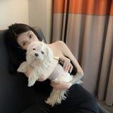 小洋Q推