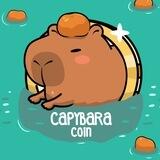 Capybara Coin