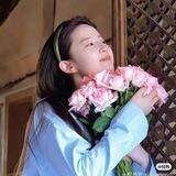 素材精选库🌷