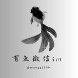 有鱼微信im