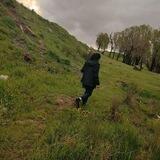 'دختر جنگل'