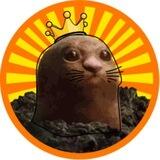 POOPCOIN
