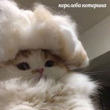 Cosmetics & Accessories