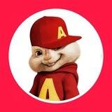 Alvin The BNB - 🐿