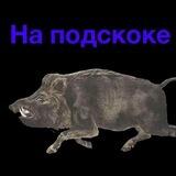 На подскоке