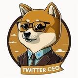Twitter CEO Turkey 🇹🇷