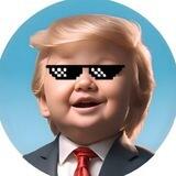 BabyTrumpCeo | Portal