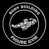 Figuregym2010