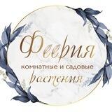 🌿Феерия🌿