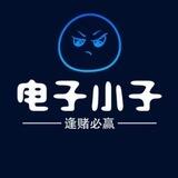 电子小子白嫖站