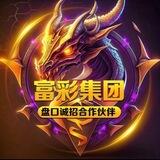富彩盘口达利小公群已上押500u