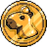 CAPYBARA1995 | $CAPY