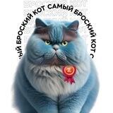 Самый broskий кот