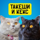 Такеши и Кекс 😻