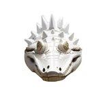 Lacostoken Official