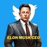 Elon Musk CEO - SAFU Project & CMC Fast-Track Applied 🔥
