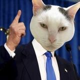 $MEOW| MEOW TOKEN🔥