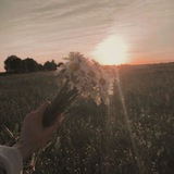 ♡Обои, авы, эстетика и всё всё всё!♡💗