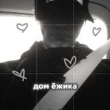 дом ёжика