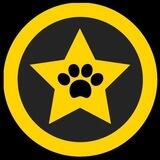 Police Cats 🐾 Portal